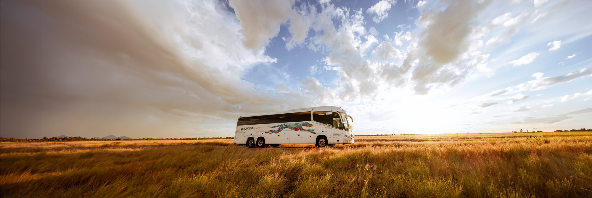 Greyhound Australia coach parked beside a palm tree at golden-hour by the water