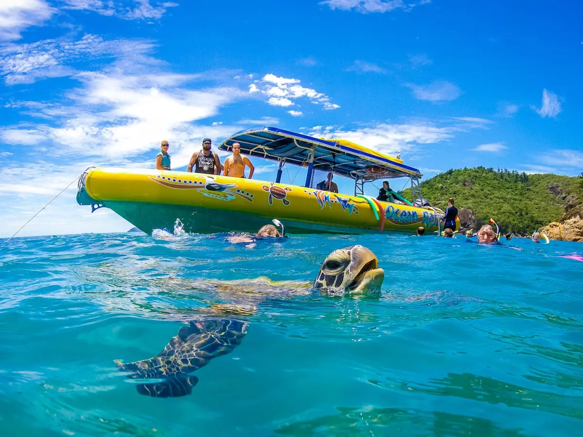 Dundee Adventure Travel | Northern Exposure Tour – Reef Snorkel & Whitehaven Beach Day Trip
