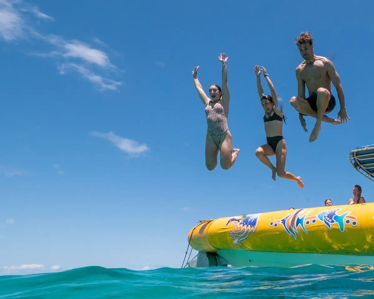 Dundee Adventure Travel | Great Barrier Reef Afternoon Tour – Ocean Safari Dundee Adventure Travel | Great Barrier Reef Afternoon Tour – Ocean Safari