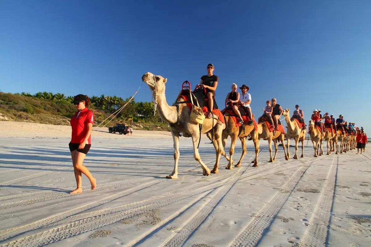 Travelers being guided on a camel ride along the beach on a Broome to Darwin 4wd adventure