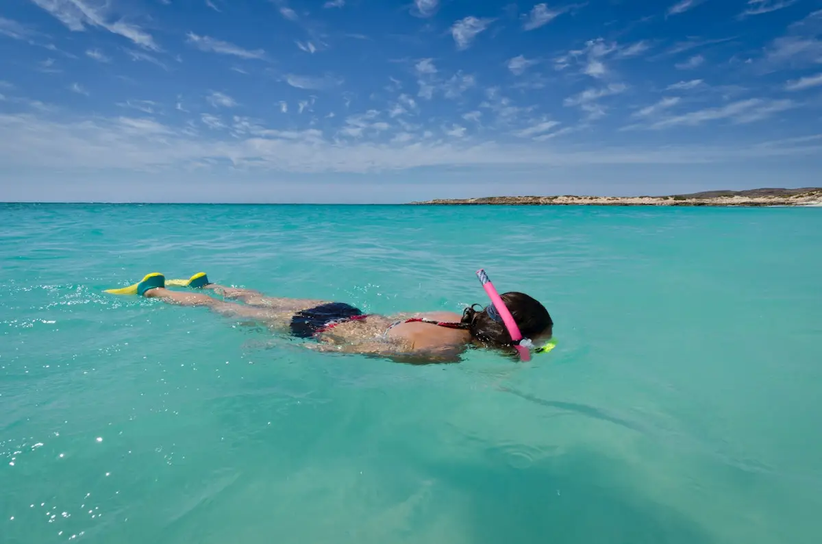 Dundee Adventure Travel | Perth to Monkey Mia & Return Dundee Adventure Travel | Perth to Monkey Mia & Return