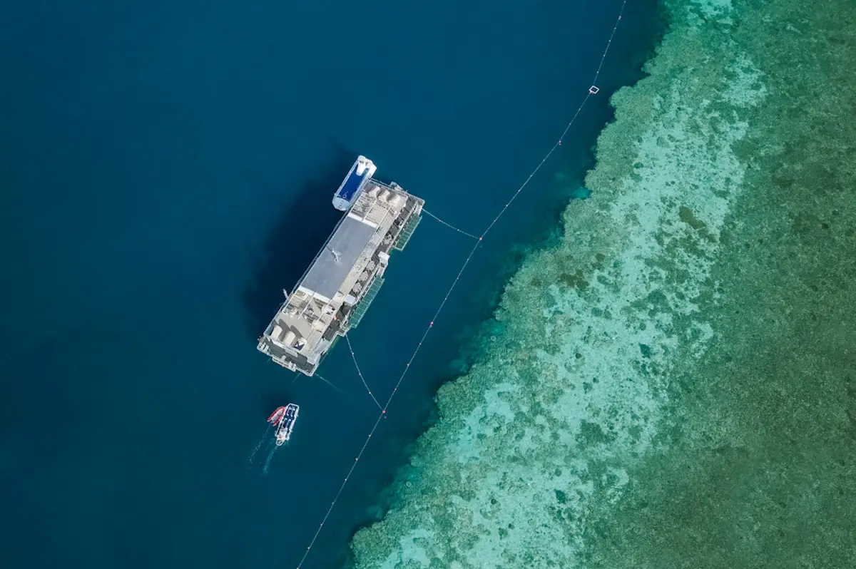 Dundee Adventure Travel | Reefsleep – Single from Hamilton Island Dundee Adventure Travel | Reefsleep – Single from Hamilton Island