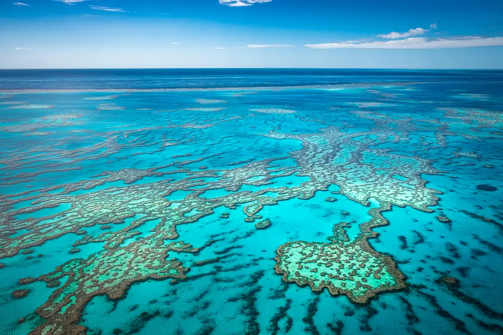 Dundee Adventure Travel | Great Barrier Reef Adventure