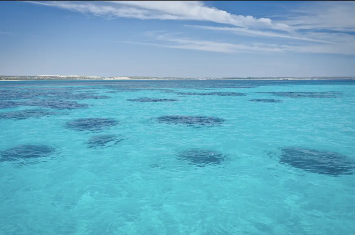 Embark on a 10-day Broome to Perth Adventure Tour