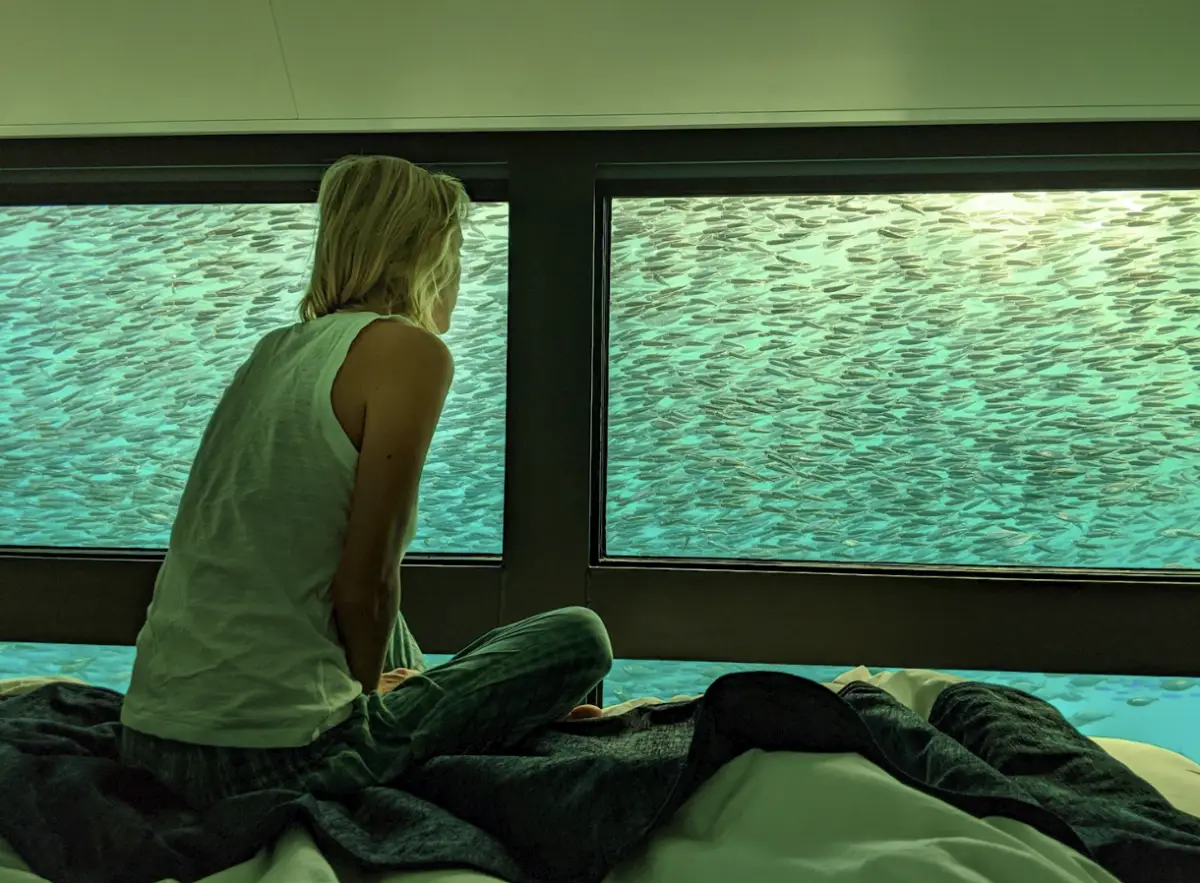 Dundee Adventure Travel | Reefsuite Double Room