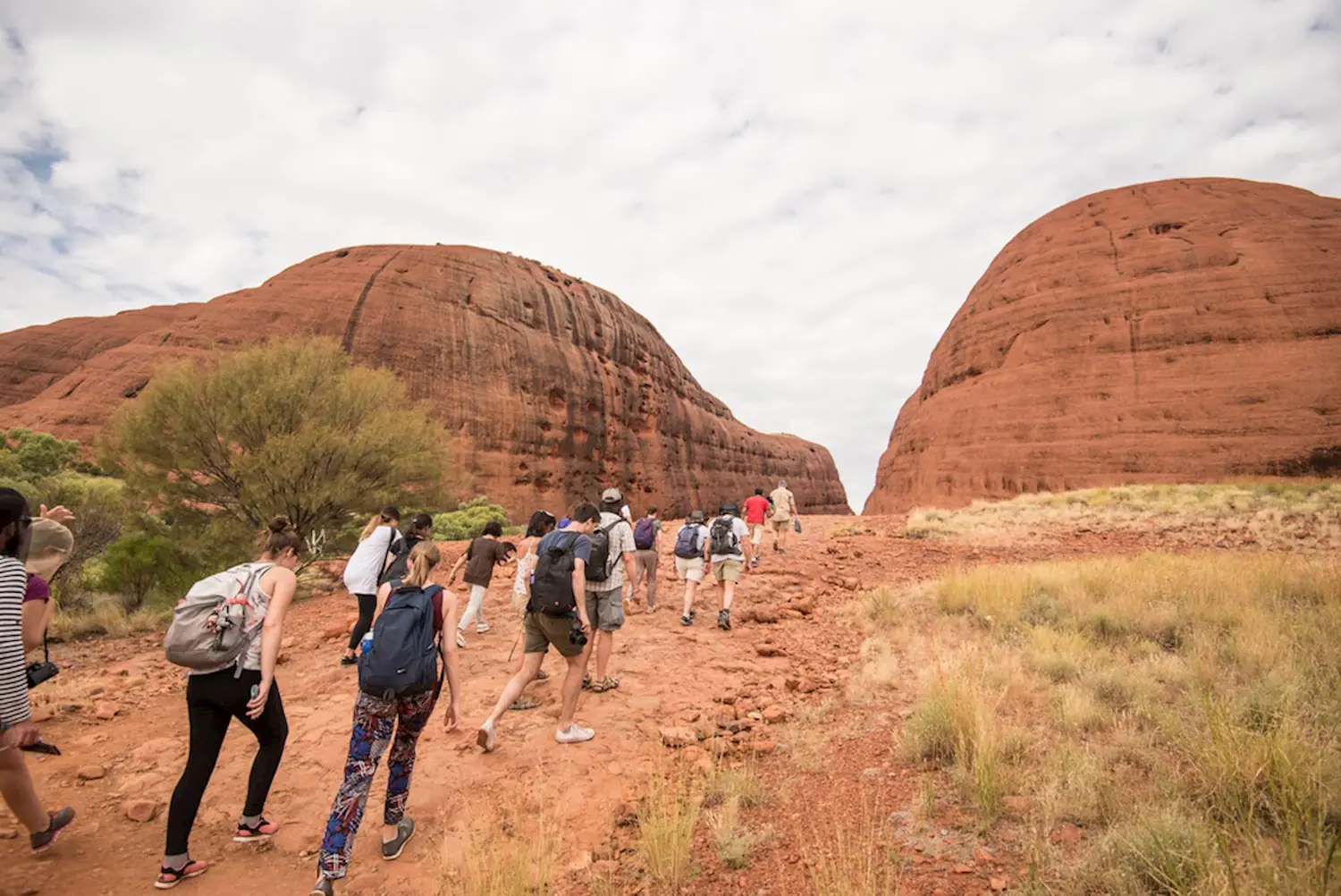 Join the overnight Uluru adventure with friends and family