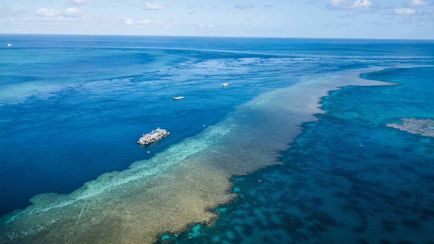 Reefsleep single from Hamilton Island