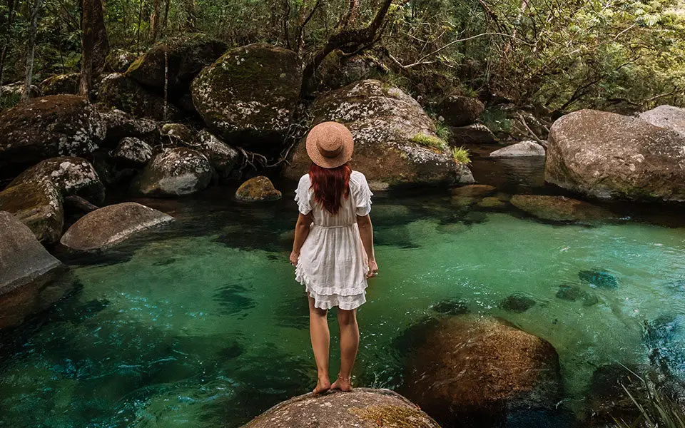 Daintree Rainforest and Cape Tribulation tour from Cairns