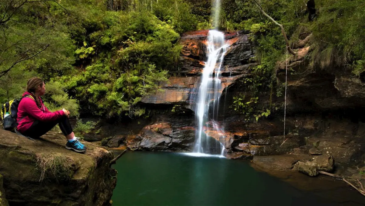Embark on Blue Mountains Night Adventure with Glow Worms tour