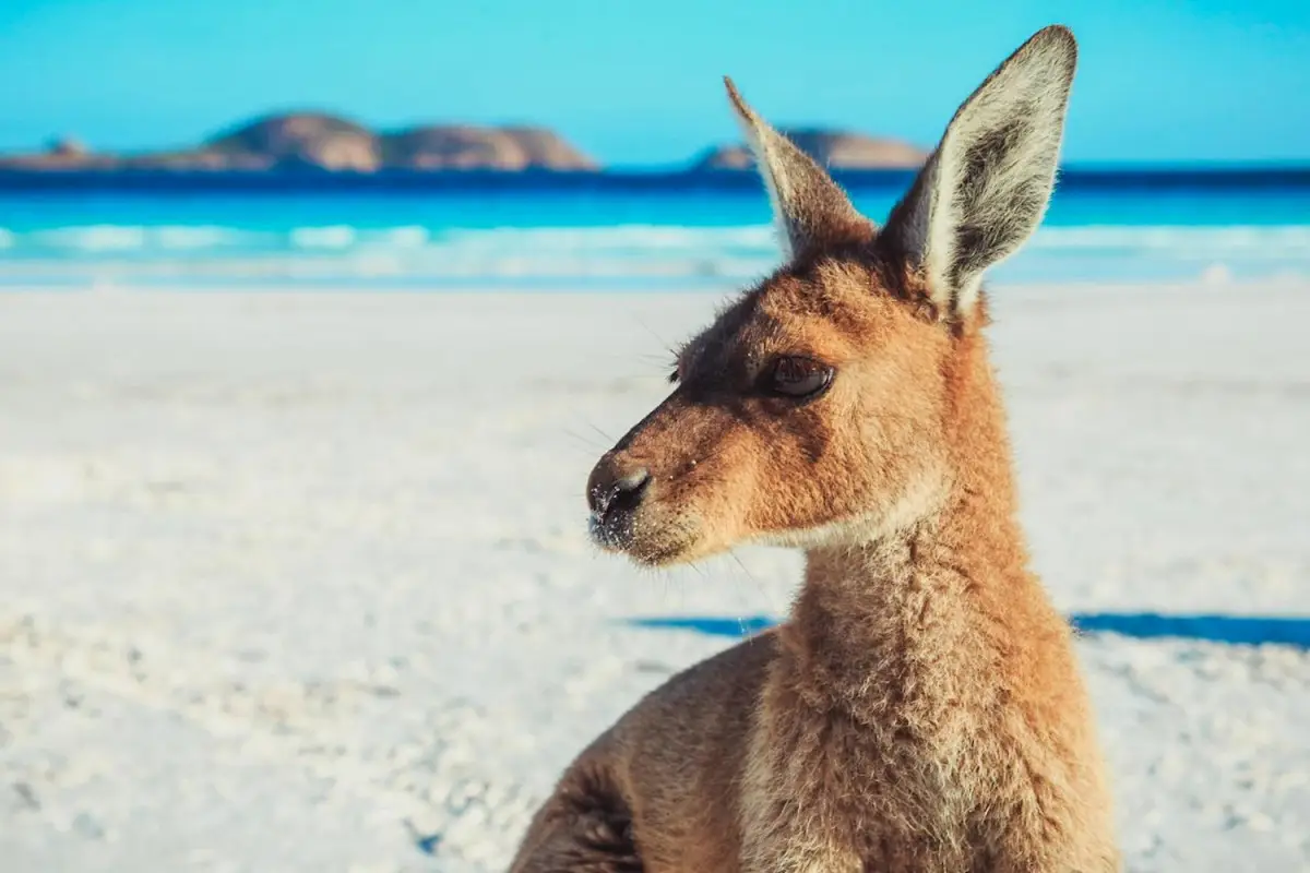 Enjoy a 10- day Adelaide to Perth adventure tour