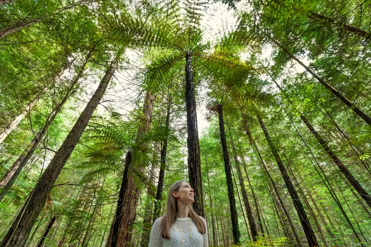 Dundee Adventure Travel | PUKEKO Auckland-Wellington Select Tour (Single)