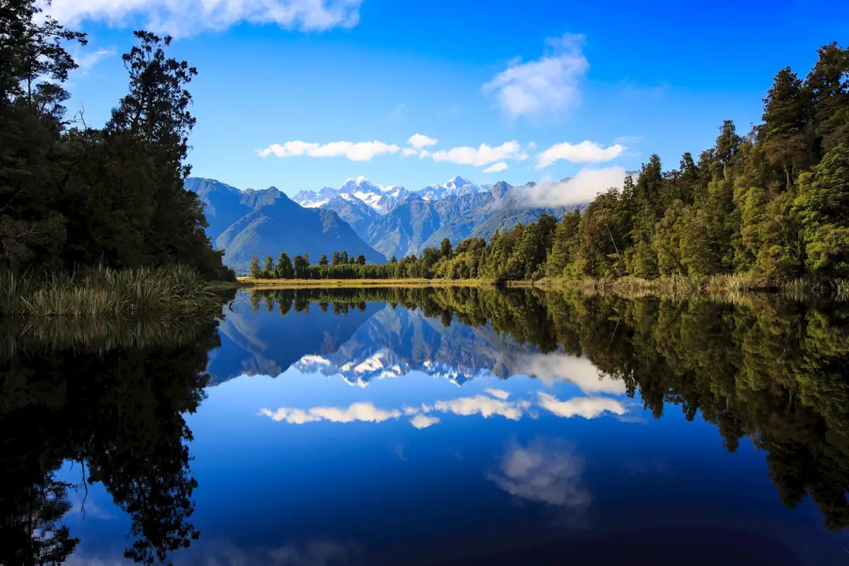 Dundee Adventure Travel | TAKAHE Christchurch-Christchurch Select Tour (Twinshare)