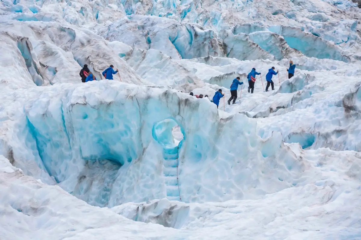 Dundee Adventure Travel | TAKAHE Christchurch-Christchurch Select Tour (Single) Dundee Adventure Travel | TAKAHE Christchurch-Christchurch Select Tour (Single)