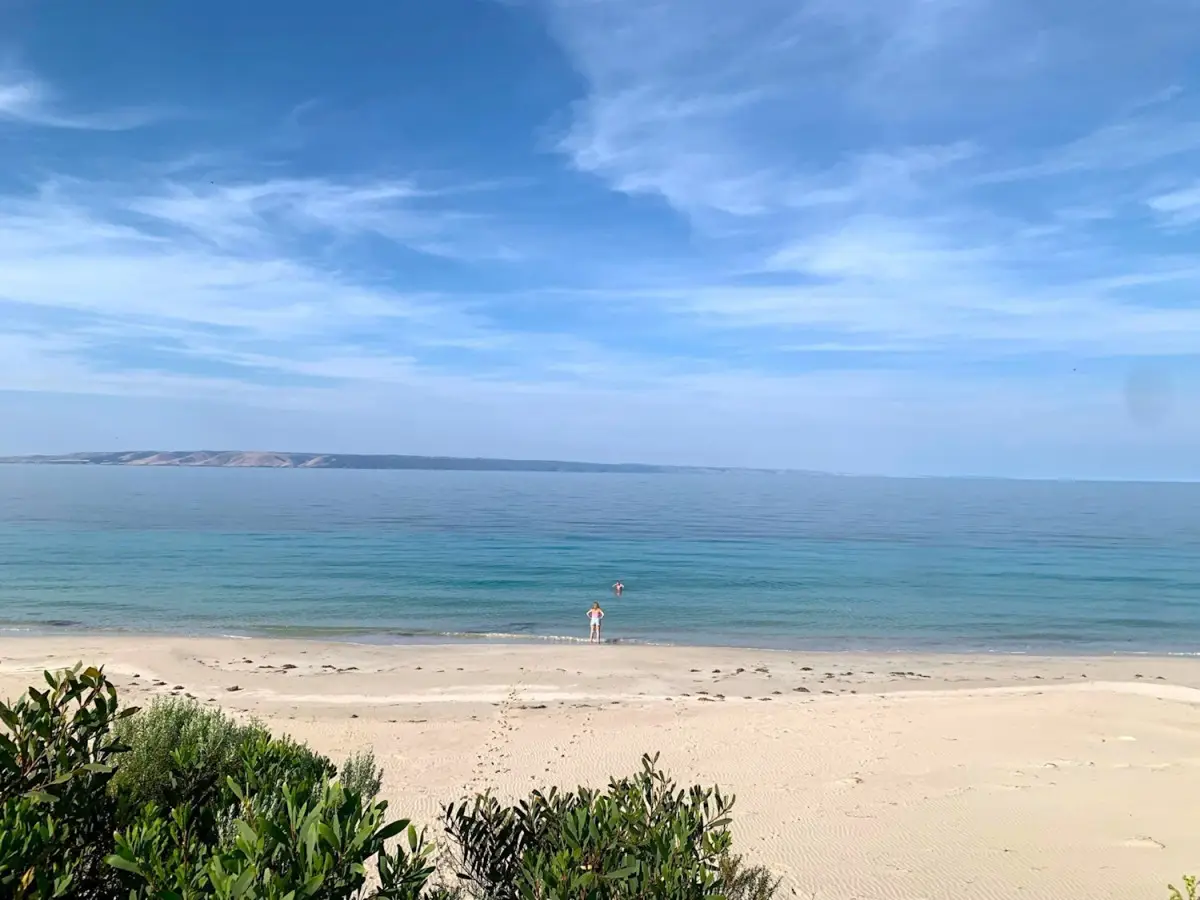 38508-5a008873-1ec6-44d8-b83d-dfe4622c87ef-fullsize