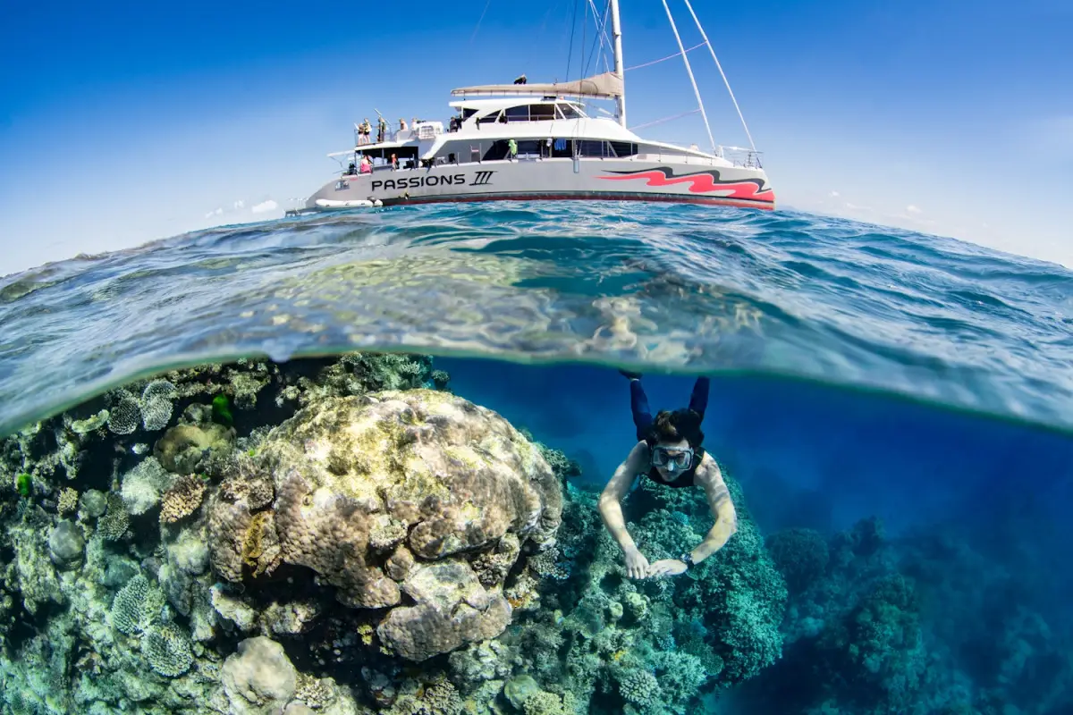 Dundee Adventure Travel | Passions of Paradise (Snorkel) Dundee Adventure Travel | Passions of Paradise (Snorkel)