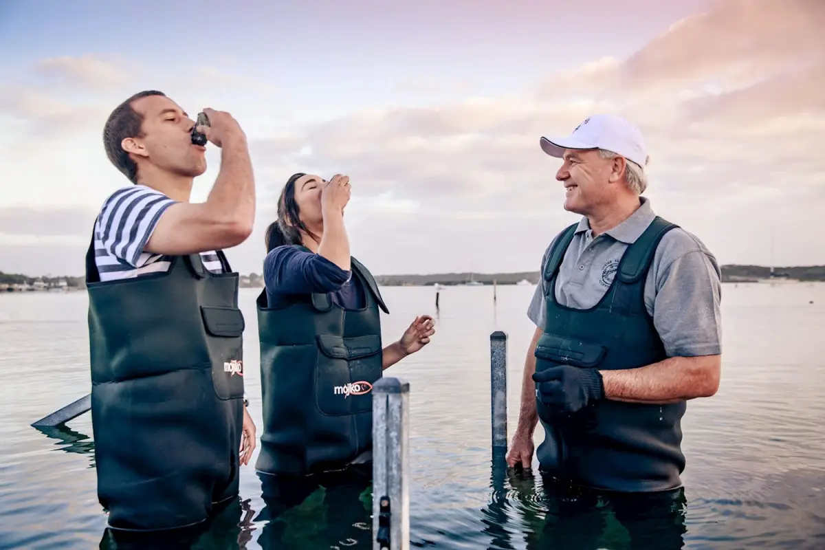 Dundee Adventure Travel | Port Lincoln Taste oysters during the coffin bay day tour
