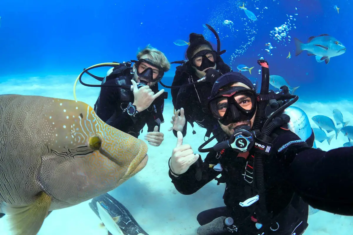 Dundee Adventure Travel | PADI Open Water Referral Course (2 Day Trips)