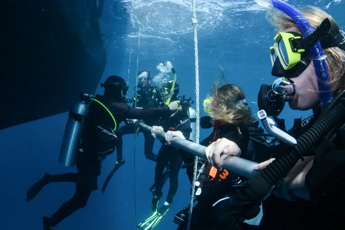 Dundee Adventure Travel | PADI Open Water Course (5 Day 2 Night Liveaboard) Dundee Adventure Travel | PADI Open Water Course (5 Day 2 Night Liveaboard)