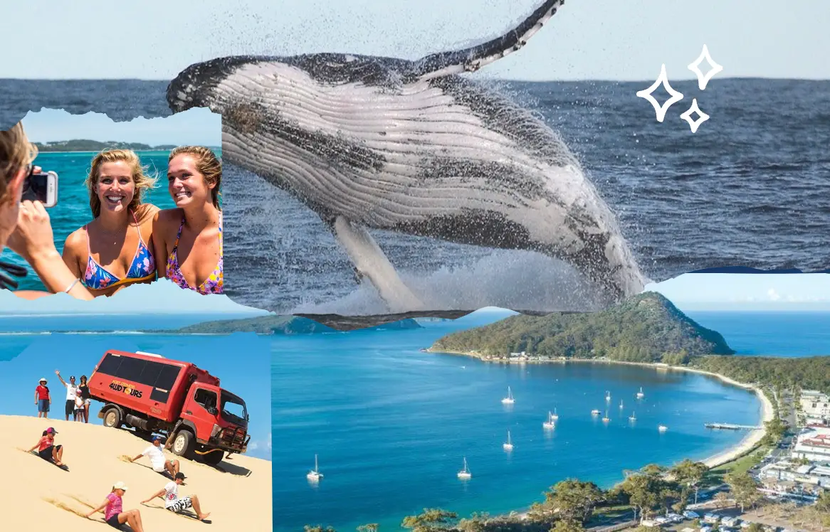 Dundee Adventure Travel | Port Stephens Whale Watching & Sandboarding Tour (Saver Fare)