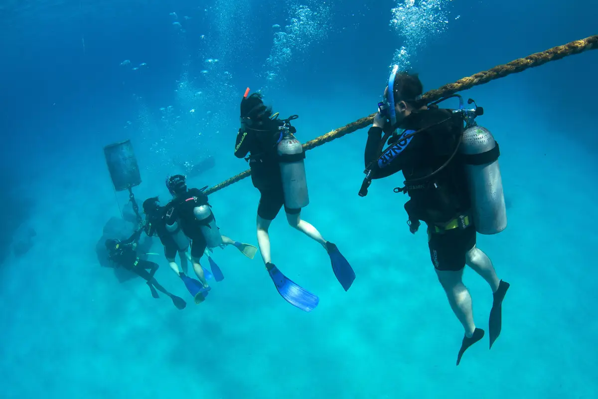 Dundee Adventure Travel | PADI Advanced Course (2 Day 1 Night Liveaboard) Dundee Adventure Travel | PADI Advanced Course (2 Day 1 Night Liveaboard)