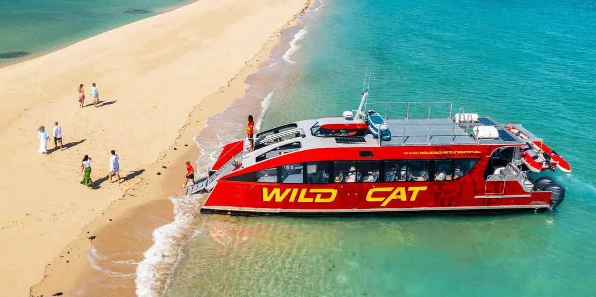 Dundee Adventure Travel | Wildcat Mackay Dundee Adventure Travel | Wildcat Mackay