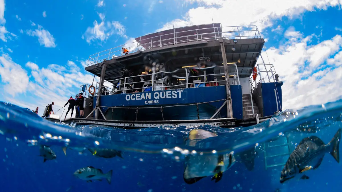 Dundee Adventure Travel | OceanQuest 3-Night Liveaboard