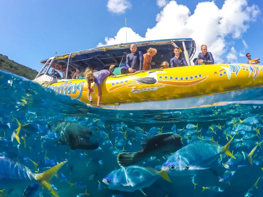 Dundee Adventure Travel | Southern Lights Tour with Tropical Lunch Dundee Adventure Travel | Southern Lights Tour with Tropical Lunch