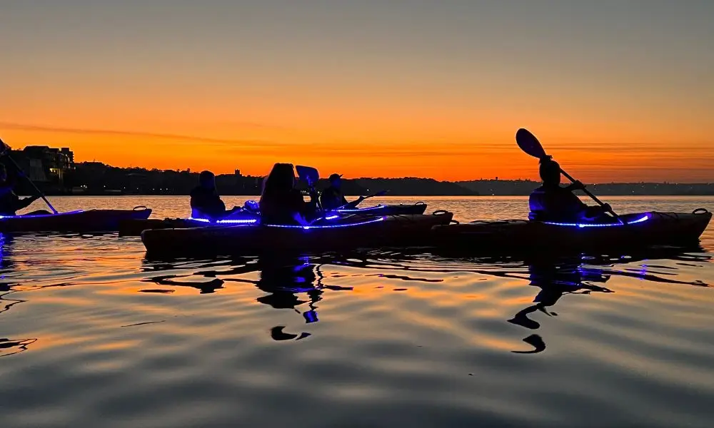 Dundee Adventure Travel | Sunrise Paddle on Sydney Harbour (Double Kayak)