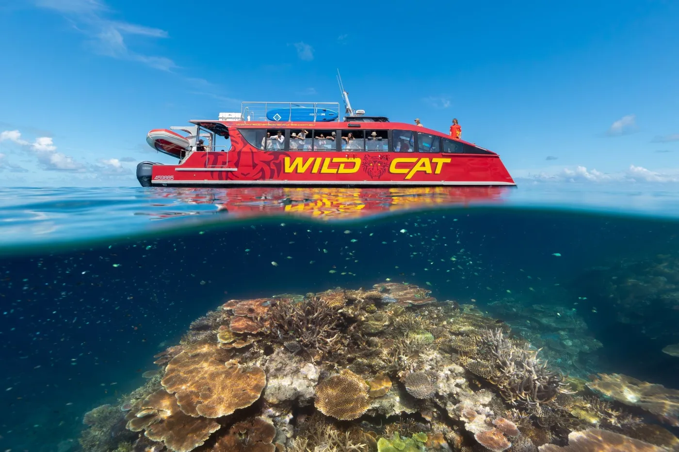 Dundee Adventure Travel | Highlights of the East Coast: Airlie Beach and The Whitsundays Dundee Adventure Travel | Highlights of the East Coast: Airlie Beach and The Whitsundays
