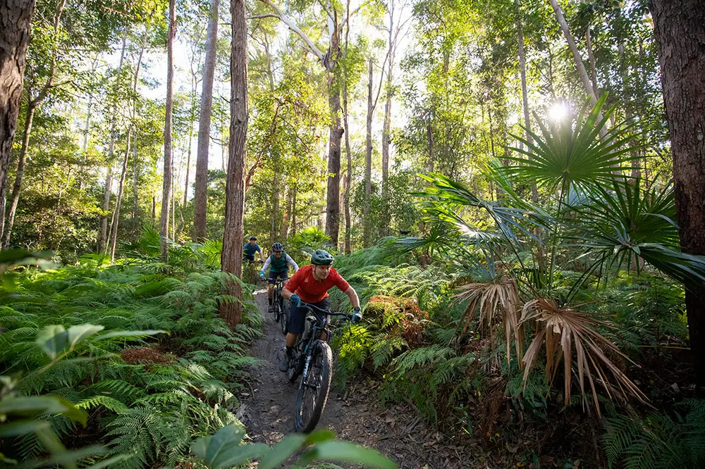 Dundee Adventure Travel | Noosa Like Never Before: eMountain Biking Through Tewantin National Park Dundee Adventure Travel | Noosa Like Never Before: eMountain Biking Through Tewantin National Park