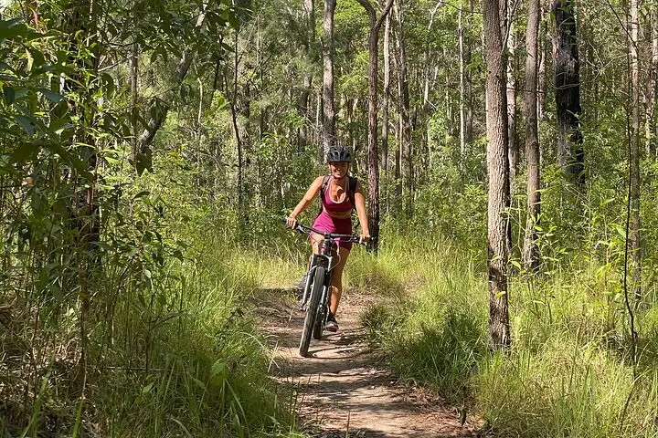 Dundee Adventure Travel | Noosa Like Never Before: eMountain Biking Through Tewantin National Park Dundee Adventure Travel | Noosa Like Never Before: eMountain Biking Through Tewantin National Park