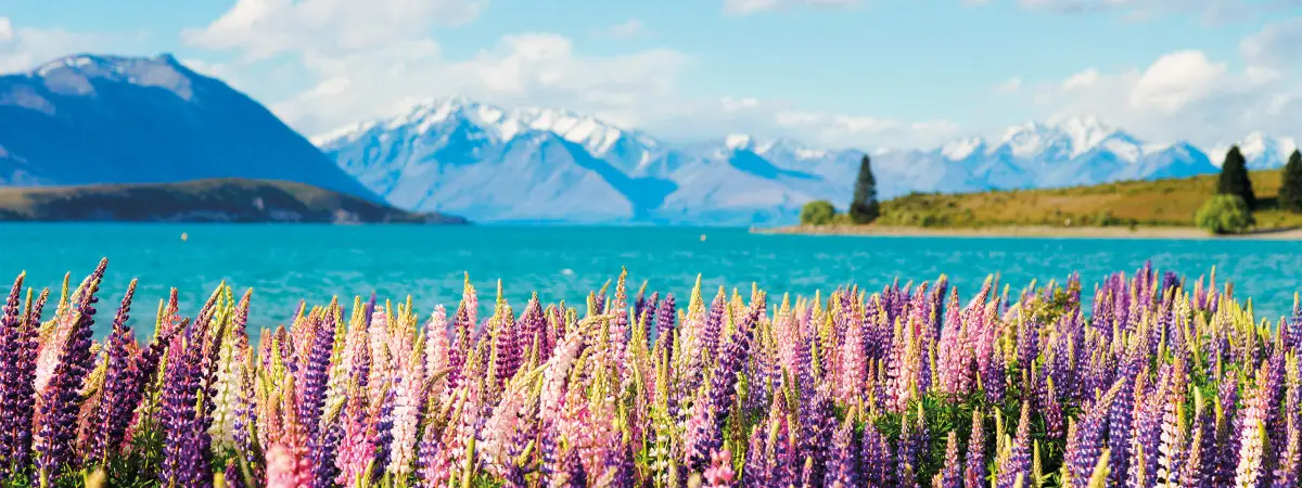 Dundee Adventure Travel | 10 Days, 7 Lakes: Campervan Trip from Christchurch to Queenstown