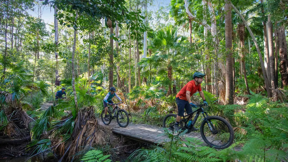 Dundee Adventure Travel | Noosa Like Never Before: eMountain Biking Through Tewantin National Park Dundee Adventure Travel | Noosa Like Never Before: eMountain Biking Through Tewantin National Park