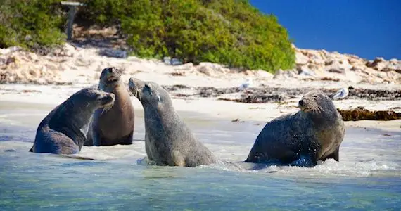 Dundee Adventure Travel | Margaret River and Wildlife Adventure