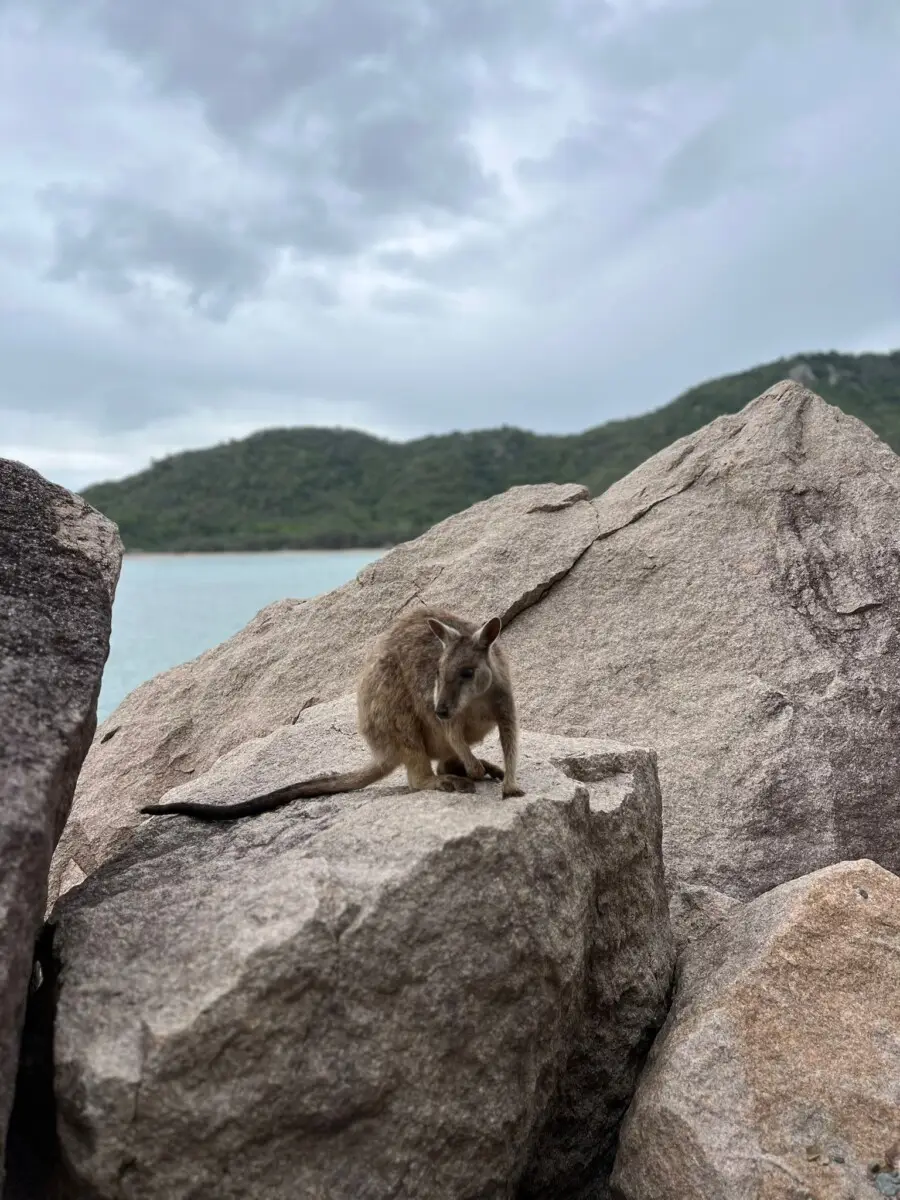 Dundee Adventure Travel | Client Chronicles: 8 Weeks of Solo Travel in Australia