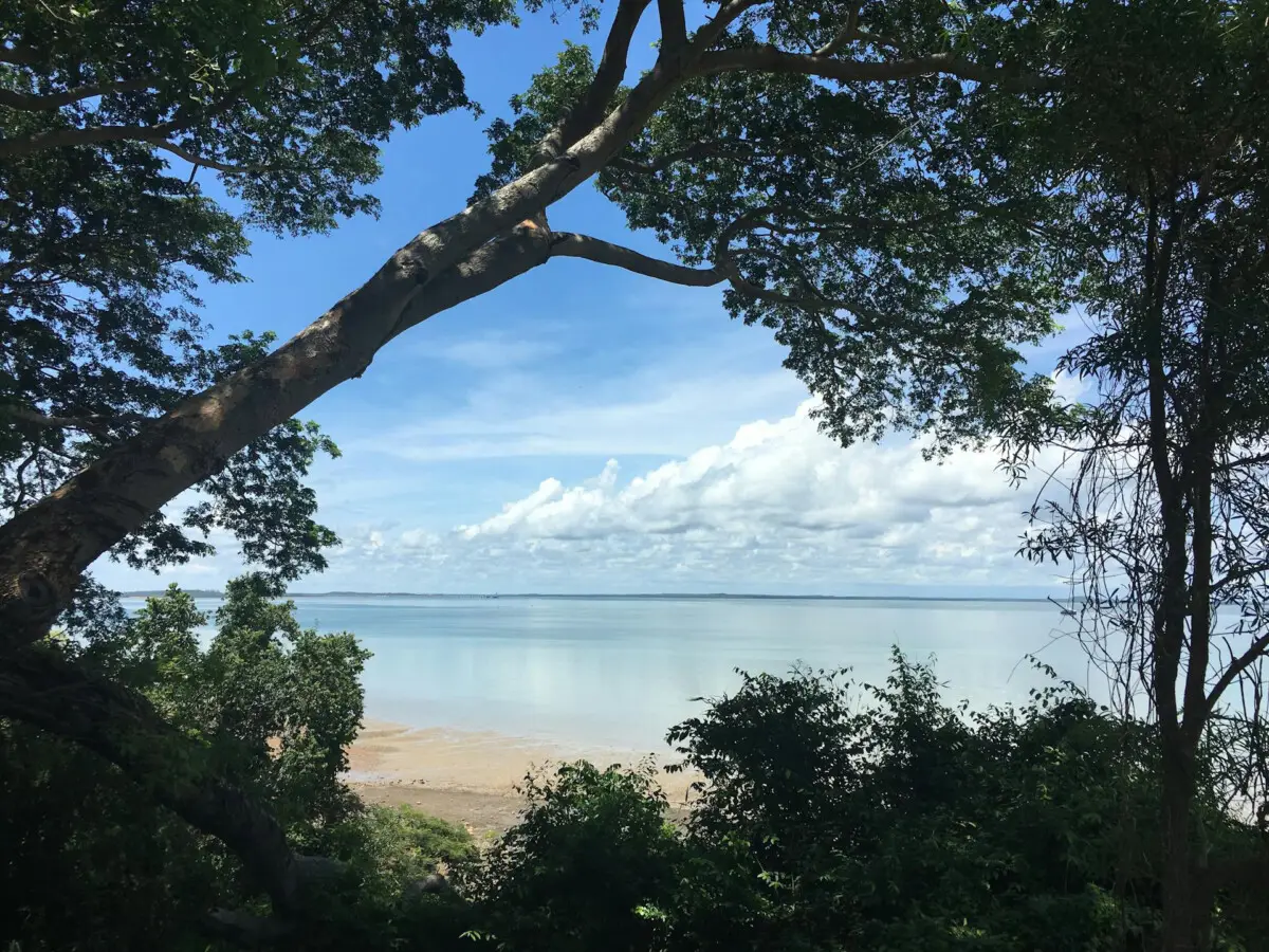 Dundee Adventure Travel | Darwin darwin-beach-trees