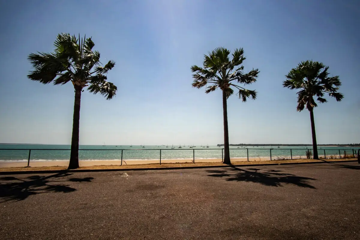 Dundee Adventure Travel | Darwin darwin-shore-beach-trees
