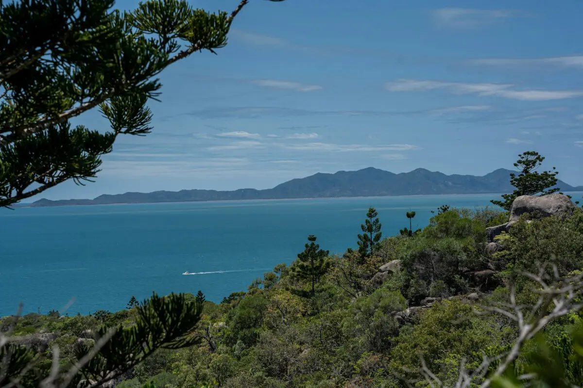 Dundee Adventure Travel | Magnetic Island & Townsville magnetic-island-park-bush