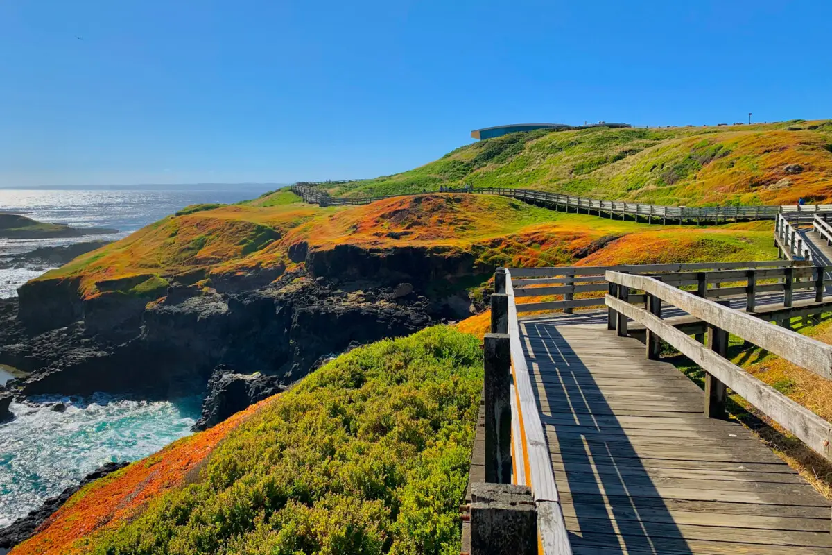 phillip-island-boardwalk