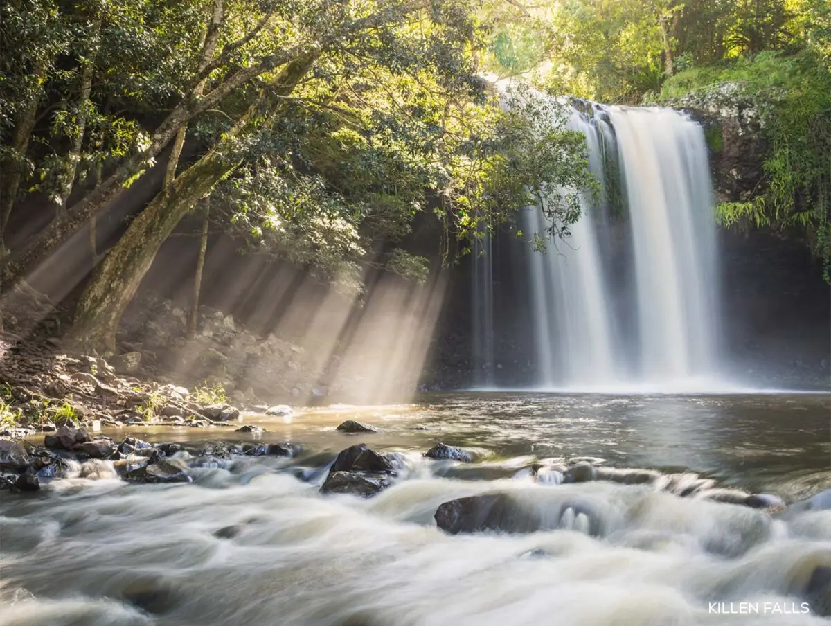 Dundee Adventure Travel | The Real Cost of Backpacking Australia’s East Coast for a Month Dundee Adventure Travel | The Real Cost of Backpacking Australia’s East Coast for a Month