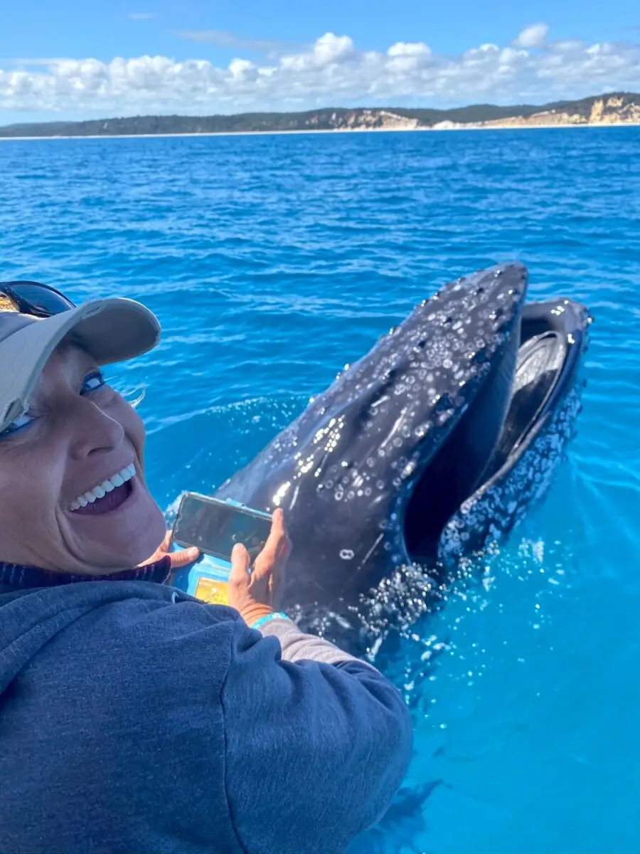 Dundee Adventure Travel | Noosa Thriller | Whale Watch
