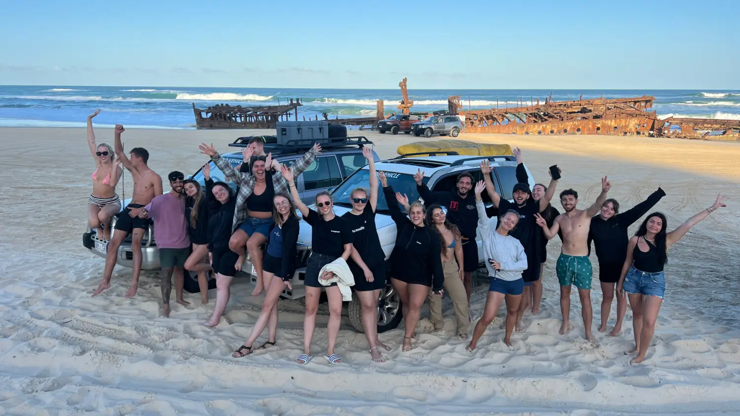 Dingo walking along the beach on Fraser Island (K’gari) during a Dundee Adventure Travel tour