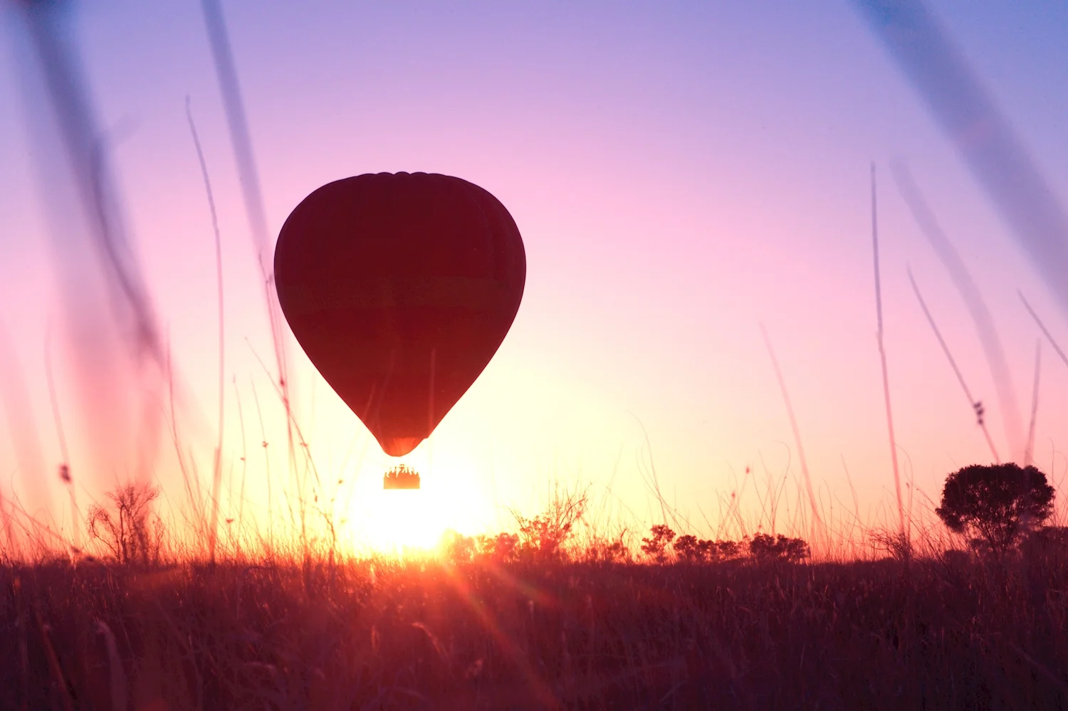 hot air balloon launch Alice Springs early morning