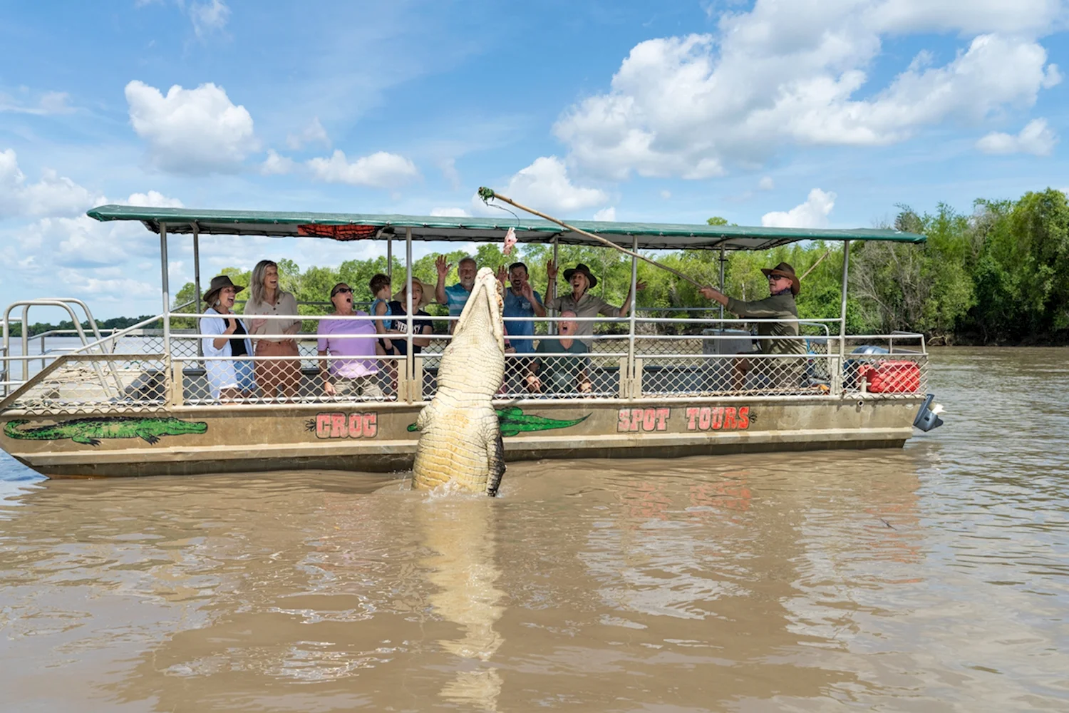 saltwater crocodile jumping Adelaide River Darwin
