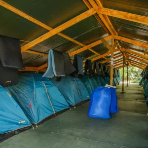 Row of camping tents set up at Fraser Island campsite under shelter
