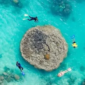 Dundee Adventure Travel | Southern Lights Tour with Tropical Lunch 18432-99b42069-4243-42d8-871c-3f089cea6ed0-thumbnail