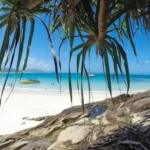 Dundee Adventure Travel | Southern Lights Tour with Tropical Lunch 18433-2b22868e-0ff0-4406-b0be-3310fa8e0ea6-thumbnail