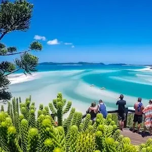 Dundee Adventure Travel | Southern Lights Tour with Tropical Lunch 18433-8f080a84-b9cb-4bac-bb3a-ea671ee8a7dd-thumbnail