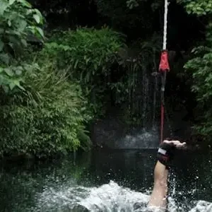 Dundee Adventure Travel | Skypark by AJ Hackett | 50 Meter Bungy Jump in Cairns 18435-0fa52af5-edbe-4592-8eb5-da352e2dfda6-thumbnail