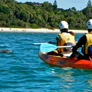 19295-59b9a15d-6bf4-48ec-8b89-96fe9892a5b5-fullsize (1)